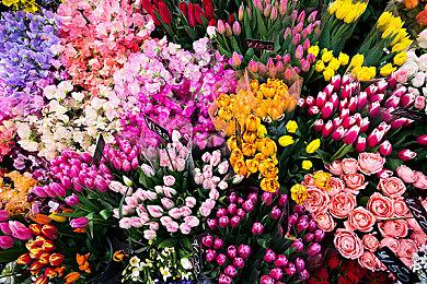 《重生边缘》《巫火》本月首发将支持DLSS3