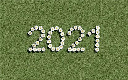 须田刚一新作《死面罗密欧》Steam页面上线 自带简中